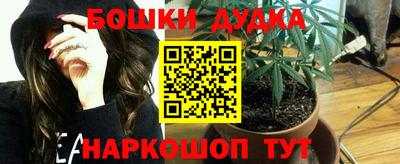 шишки Заводоуковск