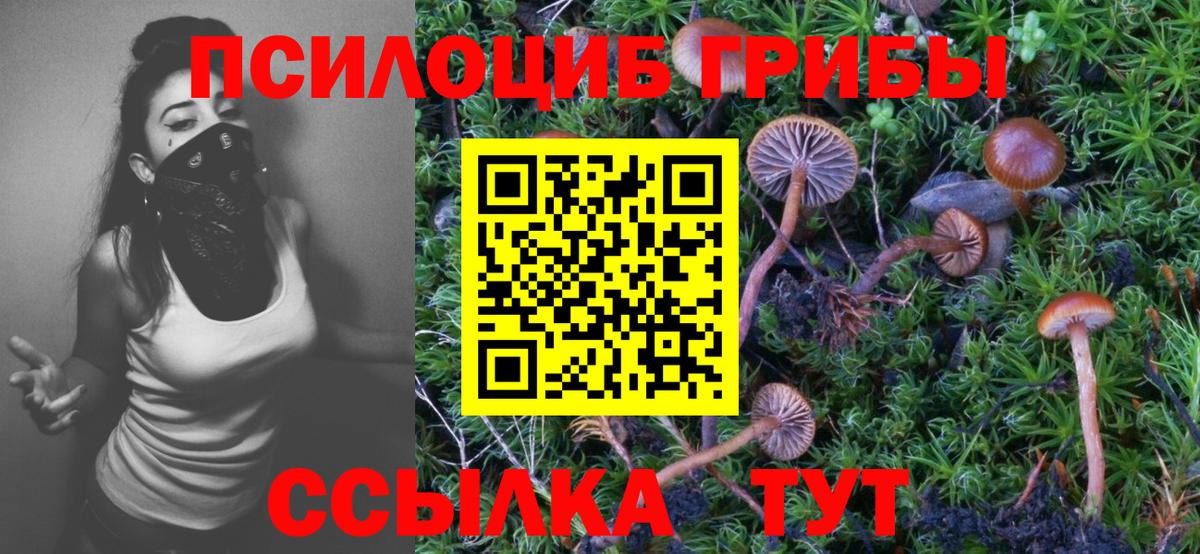 Галлюциногенные грибы Magic Shrooms Ликино-Дулёво