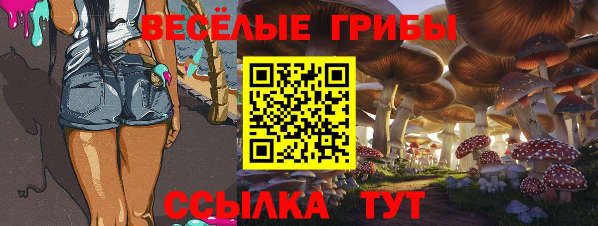 Ликино-Дулёво  Псилоцибиновые грибы Cubensis  Вход с VPN 